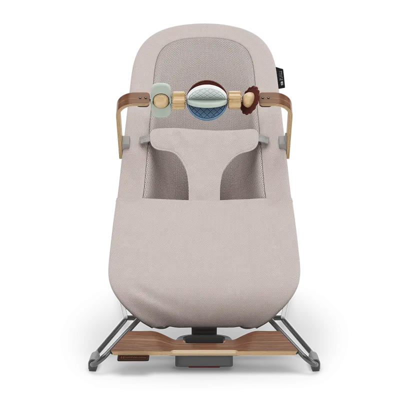 How to Convert Your UPPAbaby Vista Into a Double Stroller - UPPAbaby